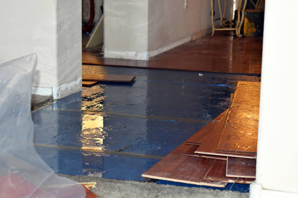 Professional Flood Damage Repair technician working in Askov, MN